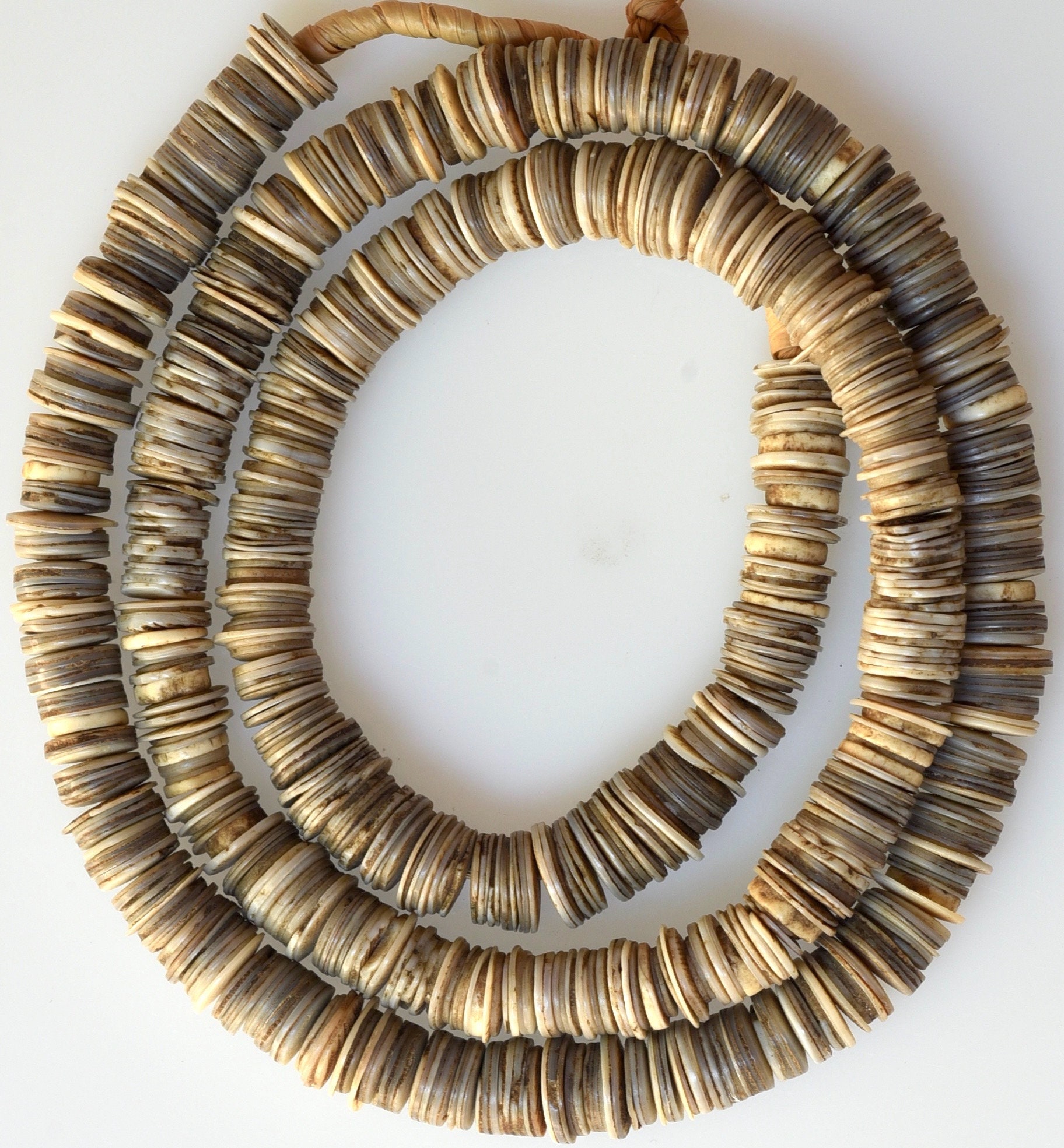 African Clam Shell - 12 Strand – Bead Goes On