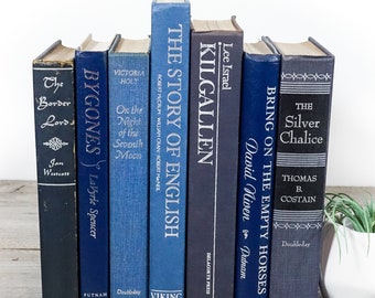 Old Blue & Silver Decorative Books for Staging, Instant Library, Modern Farmhouse Decor, Pop of Color, Antique Props, Vintage Shelf Items