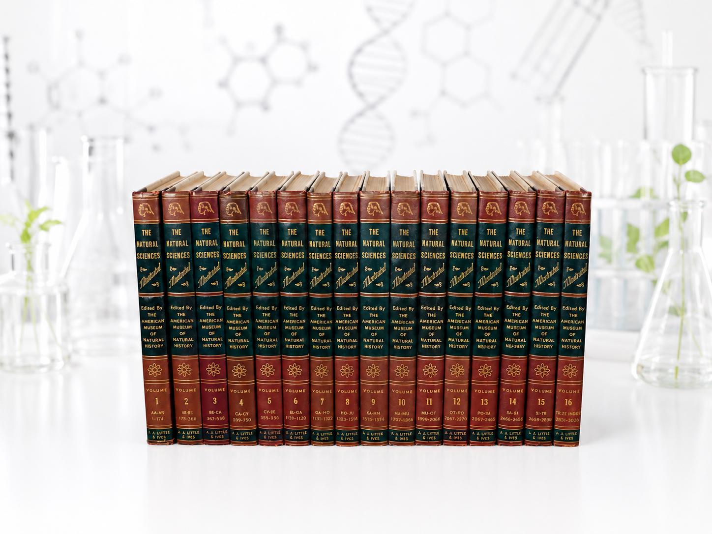 Antique Vintage Encyclopedia Set - Etsy