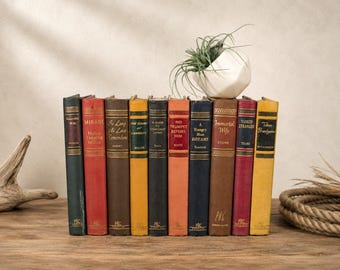 May include: A row of ten vintage hardcover books with colorful spines including red, yellow, blue, and green, arranged vertically. A white geometric ceramic planter containing a green air plant sits on top of the books, which feature gold lettering.