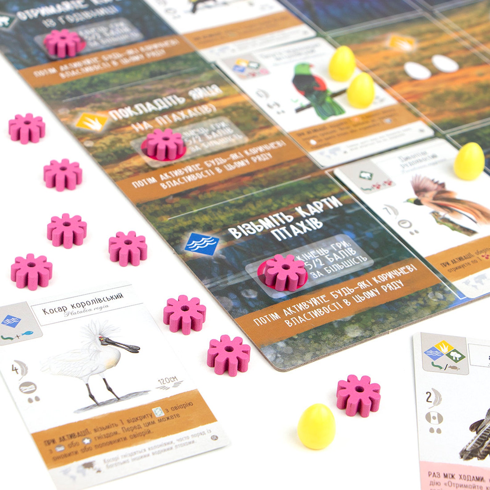 Wingspan Food Tokens Set for the Oceania Expansion Nectar Etsy