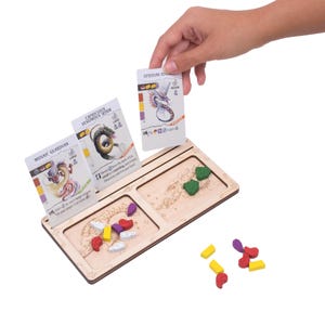 Dashboard kompatibel mit Wyrmspan, Token-Halter, Spieltablett und Kartenanzeige für Ressourcen, Brettspielzubehör, Tabletop-Gamer-Geschenk