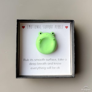 May include: A framed, light green frog-shaped emotional support pebble. The text "EMOTIONAL SUPPORT PEBBLE" is above the frog. Below the frog is the text: "Rub its smooth surface, take a deep breath and know everything will be ok."