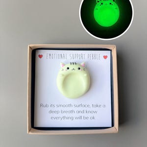 May include: A light green cat-shaped emotional support pebble in a box. The pebble has a smooth surface and is designed to glow in the dark. The box includes the text "EMOTIONAL SUPPORT PEBBLE" and instructions to take a deep breath.