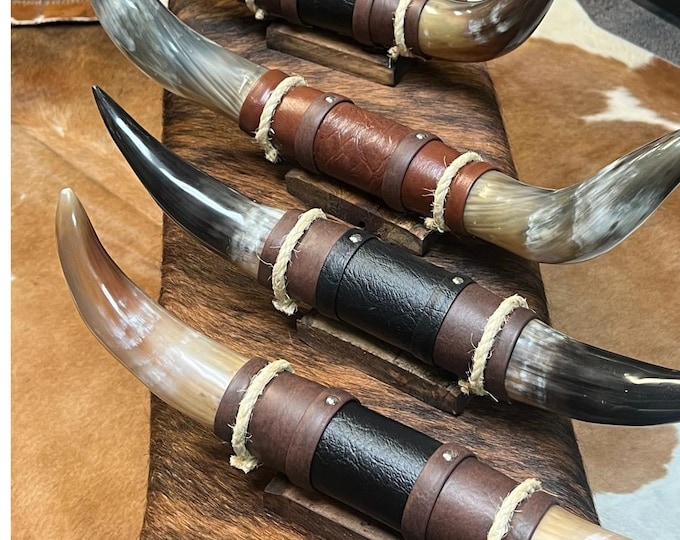 Small Mounted Longhorn Display | 16-22” | Western Rustic Decor | Genuine Horn | Leather Wrapped | Limited Supply | Texas Style