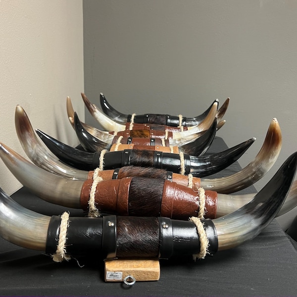 Wrapped Mounted Longhorn : Rustic Western Decor (16-22")