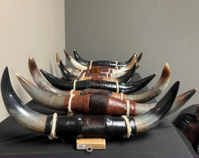Small Mounted Longhorn Display | 16-22” | Western Rustic Decor | Genuine Horn | Leather Wrapped | Limited Supply | Texas Style