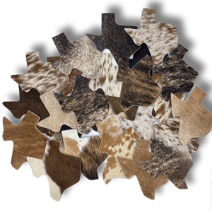 Genuine Cowhide Coasters: TEXAS MAP COWHIDE coaster Assorted Mix - Individually Sold for Unique Elegance