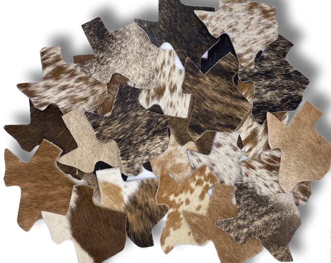 Genuine Cowhide Coasters: TEXAS MAP COWHIDE coaster Assorted Mix - Individually Sold for Unique Elegance