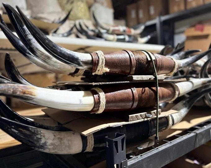 NEW!!! Wrapped Mounted Longhorn : Rustic Western Decor (40-48inches)