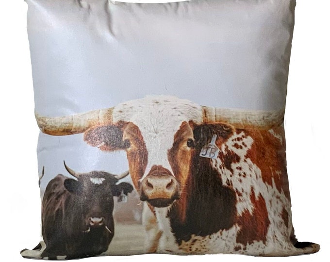 Texas Cattle Pillow | Leather Throw Pillow| Image Pillow | 18”x18”