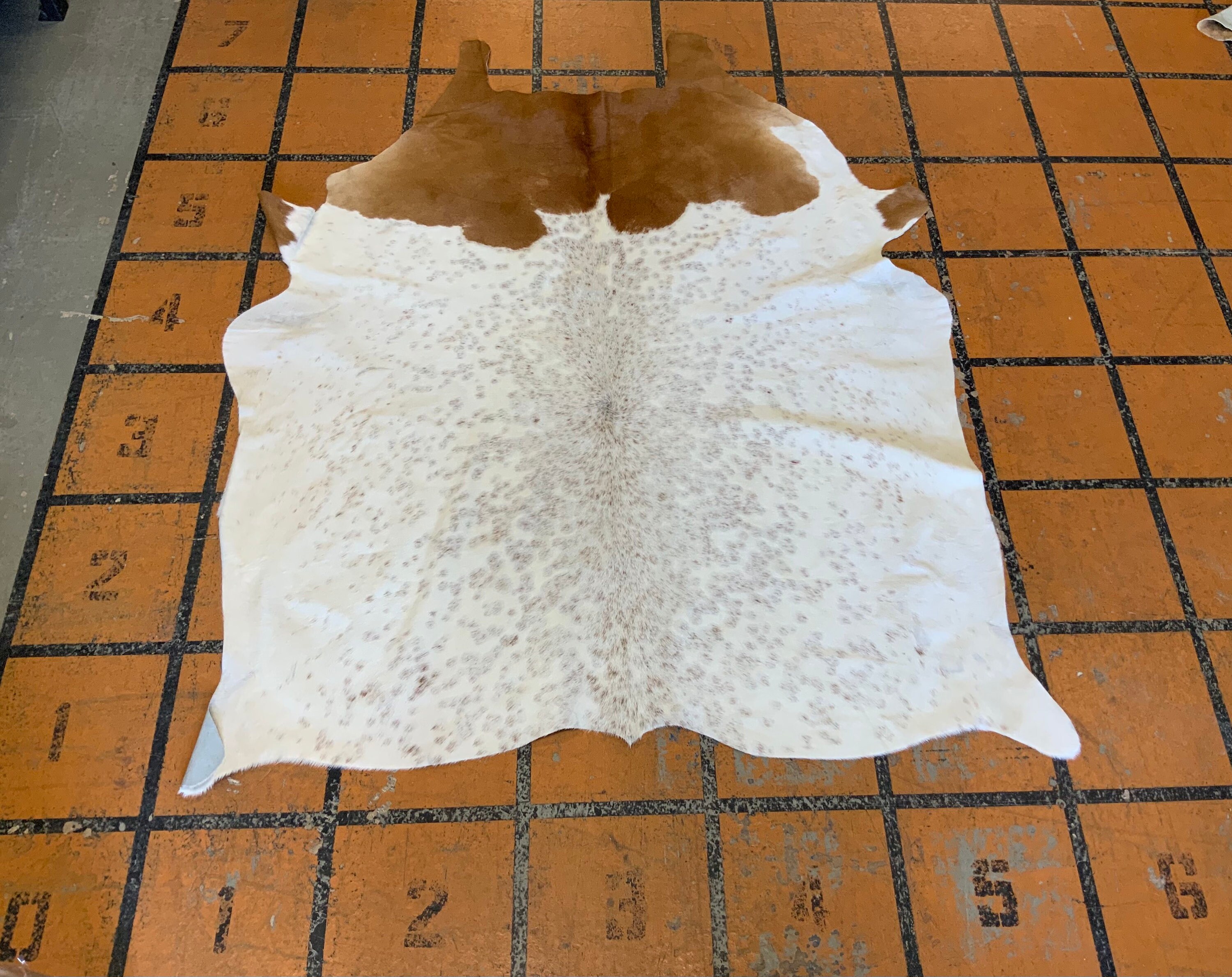 Argentina Cowhide Rug Size 60” x 78” , 5ft x 6.5ft by Cowhide Texas