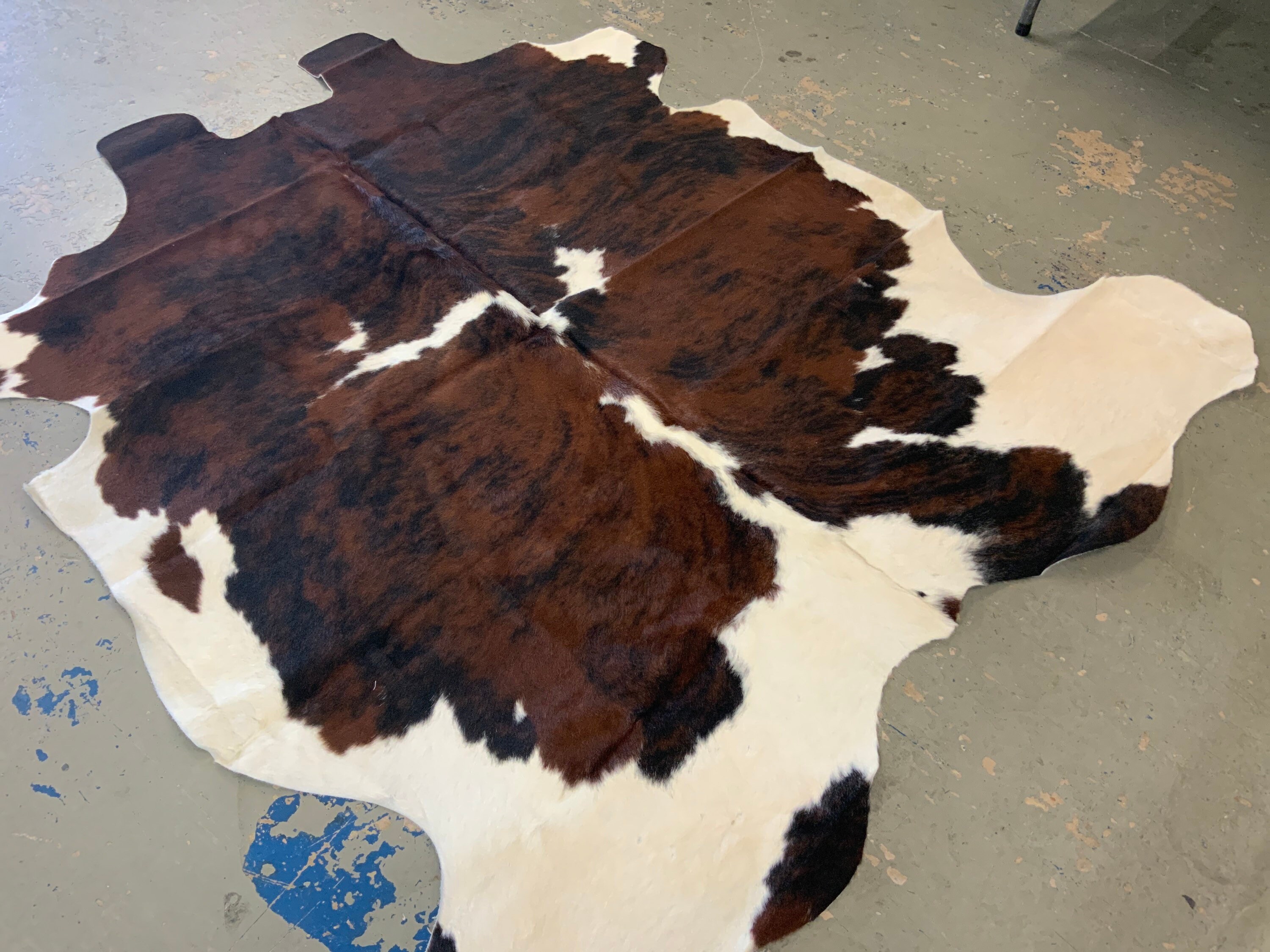 Natural Tri Color Cowhide Rug Size 71” x 72” by Cowhide Texas Store Inc. Actual Rug you will