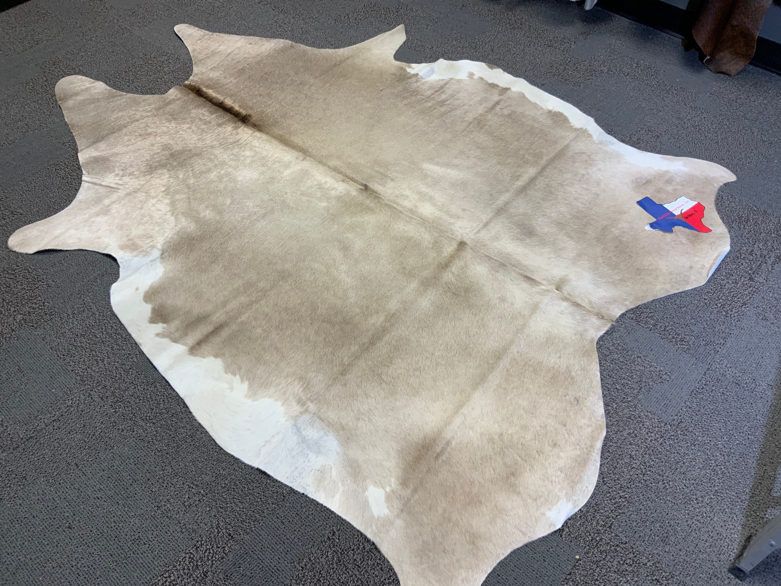 Champagne Cream Brazilian Cowhide Rug Medium Size 5’6”x6’11” Actual