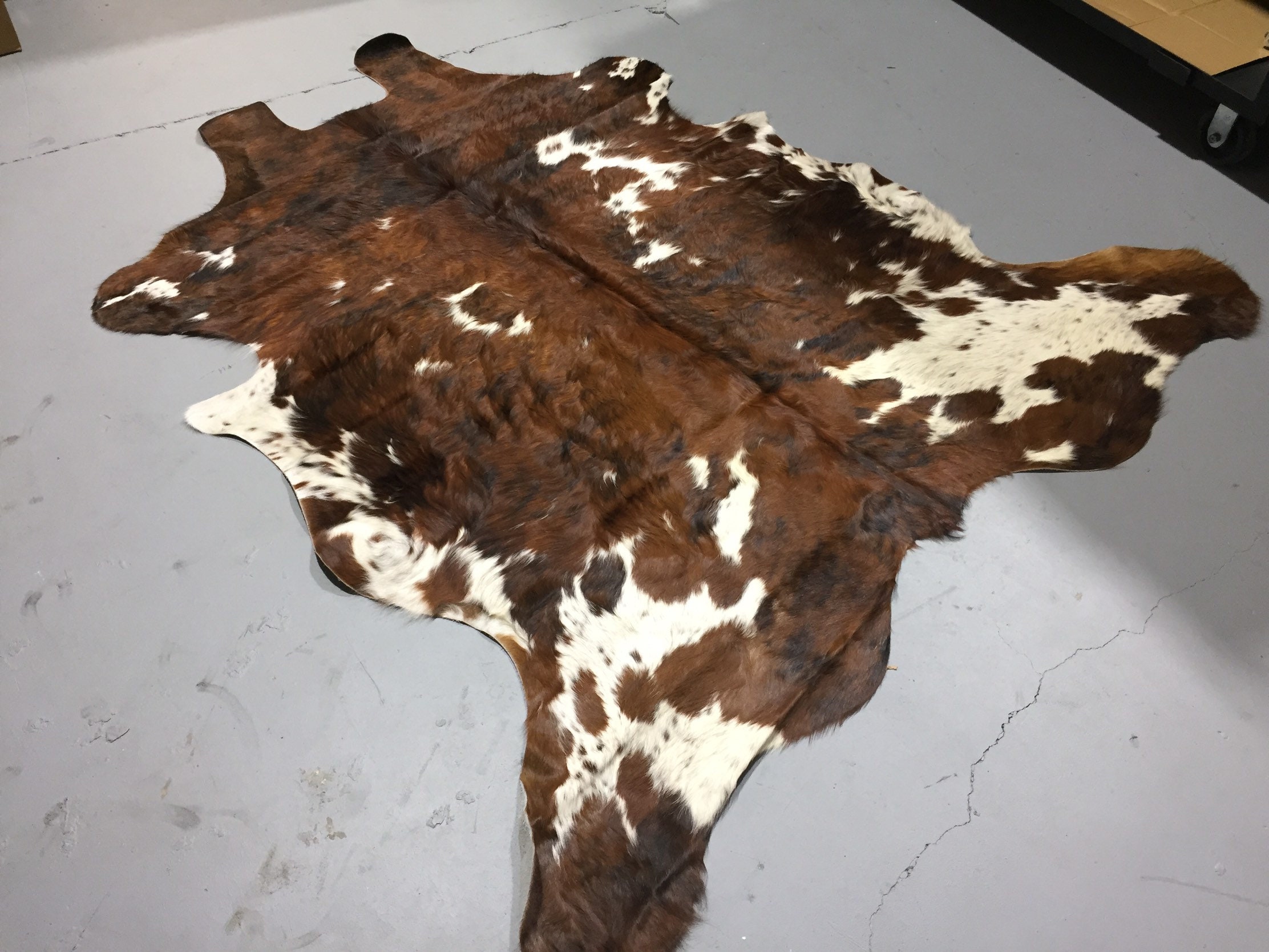 Tri Color Cowhide Rug Size 5'8 x 6ft by Cowhide Texas Store Inc. Actual Rug you will Receiving