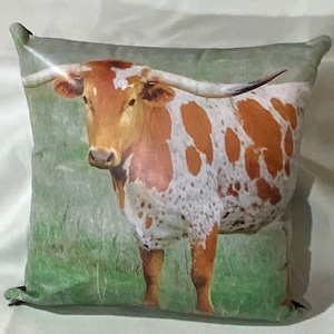 Texas Longhorn Red | Leather Throw Pillow| Image Pillow | 18”x18”