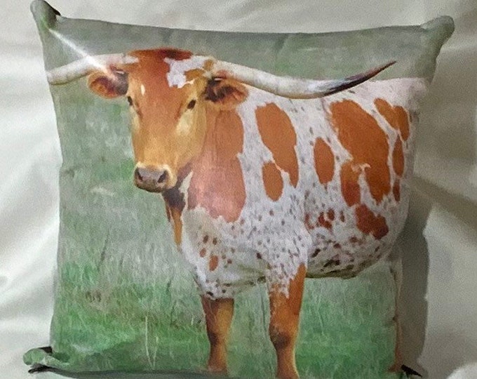 Texas Longhorn Red | Leather Throw Pillow| Image Pillow | 18”x18”