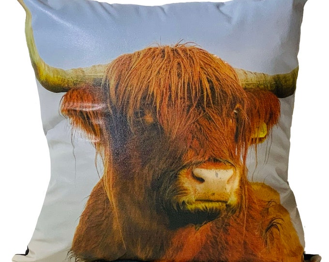Highland Cow Pillow | Leather Throw Pillow| Image Pillow | 18”x18”