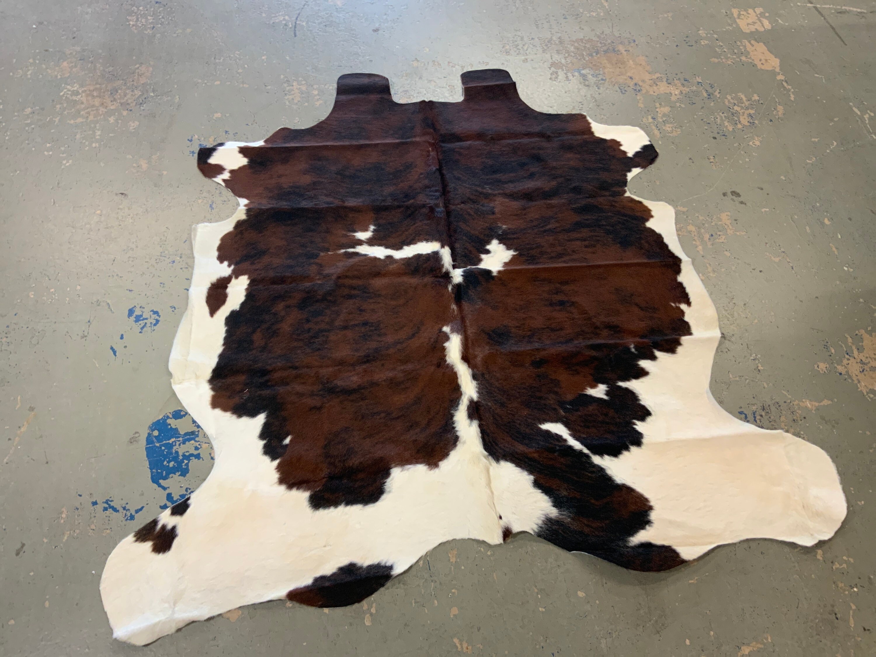 Natural Tri Color Cowhide Rug Size 71” x 72” by Cowhide Texas Store Inc. Actual Rug you will
