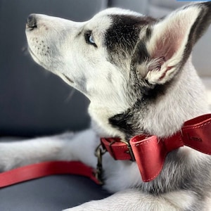 Red collar dog Bow-tie Custom collar bowtie monogram ring bearer collar Wedding dog accessory engraving collar gift for pet lover pet Tag