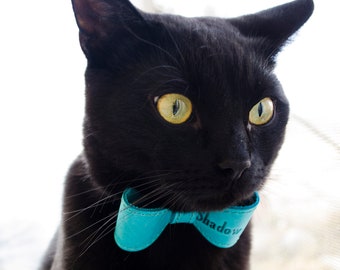 cat ring bearer outfit