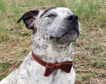 Hundehalsband personalisiert Fliege Kundenspezifisches Hundehalsband Leder Fliege Ringträgerhalsband Hochzeitsaccessoire Gravurhalsband Geschenk für Tierliebhaber