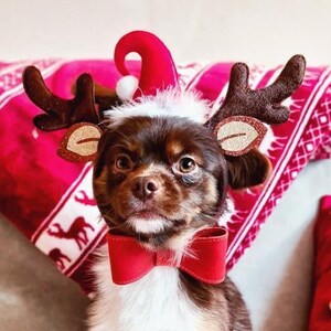 Personalized dog collar Bow-tie Custom dog collar leather bow tie Wedding accessory engraving collar Christmas gift for pet lovers pet id