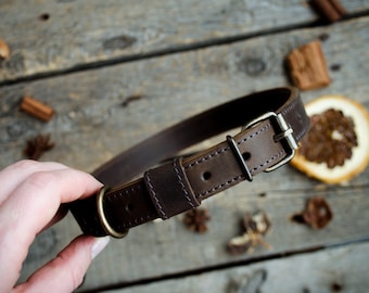 Personligt läderhalsband för hund, graverat halsband för husdjur
