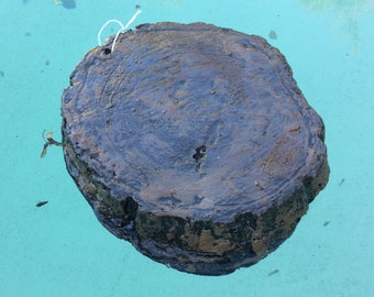 LARGE TURTLE RAFT, Basking Floating Dock for Red Eared Slider Turtles, Outdoor Pond floating Ramp, Duck float, Landscaping Decor, Frog Log