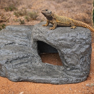 Large Reptile Basking Platform Hide Cave, Faux Rock Desert Ledge for Bearded Dragon, Uromastyx, Lizards – 18x18 Terrarium Decor