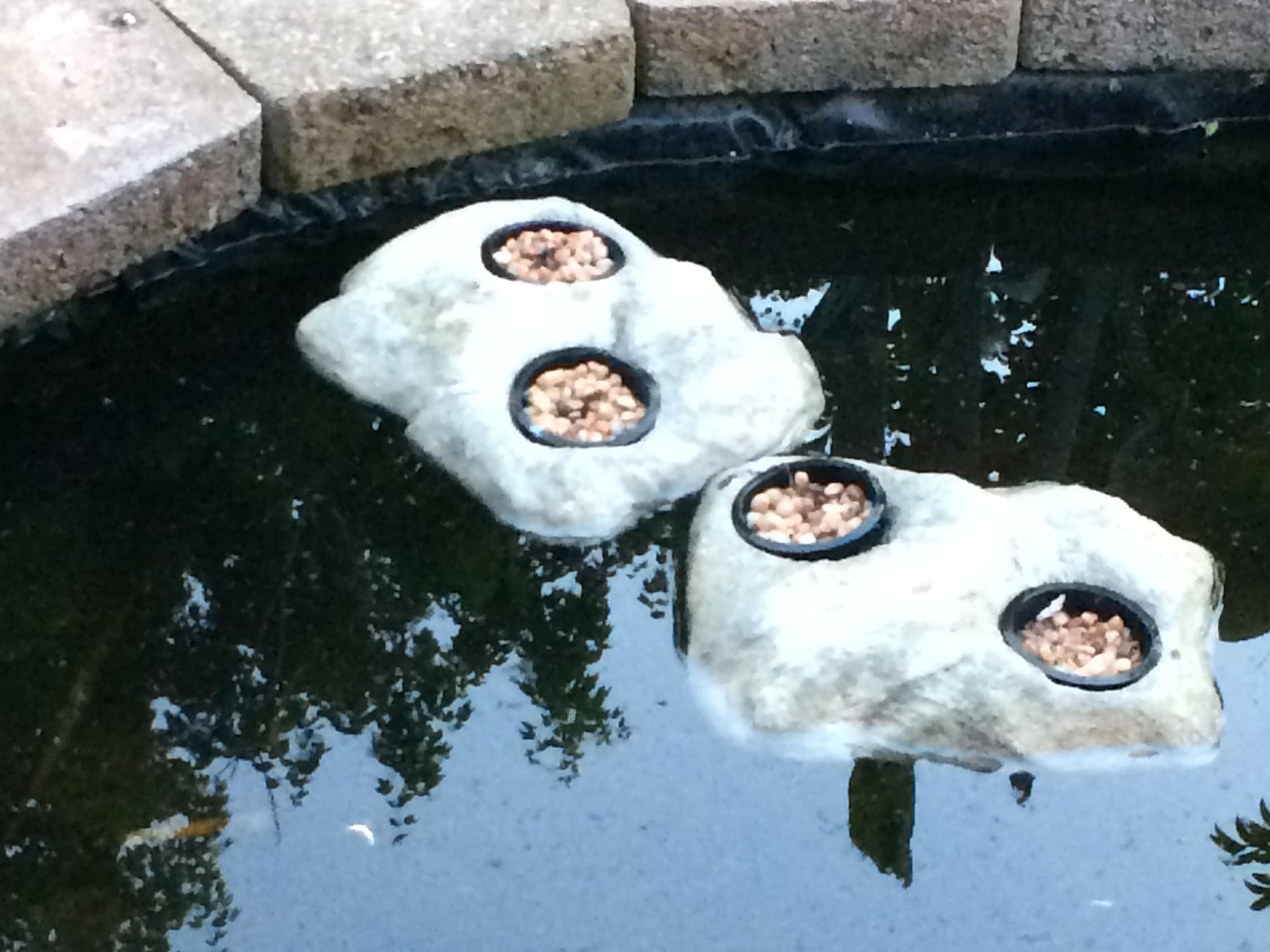 Large Floating Pond Planter Aquaponics Planter Floating Etsy UK