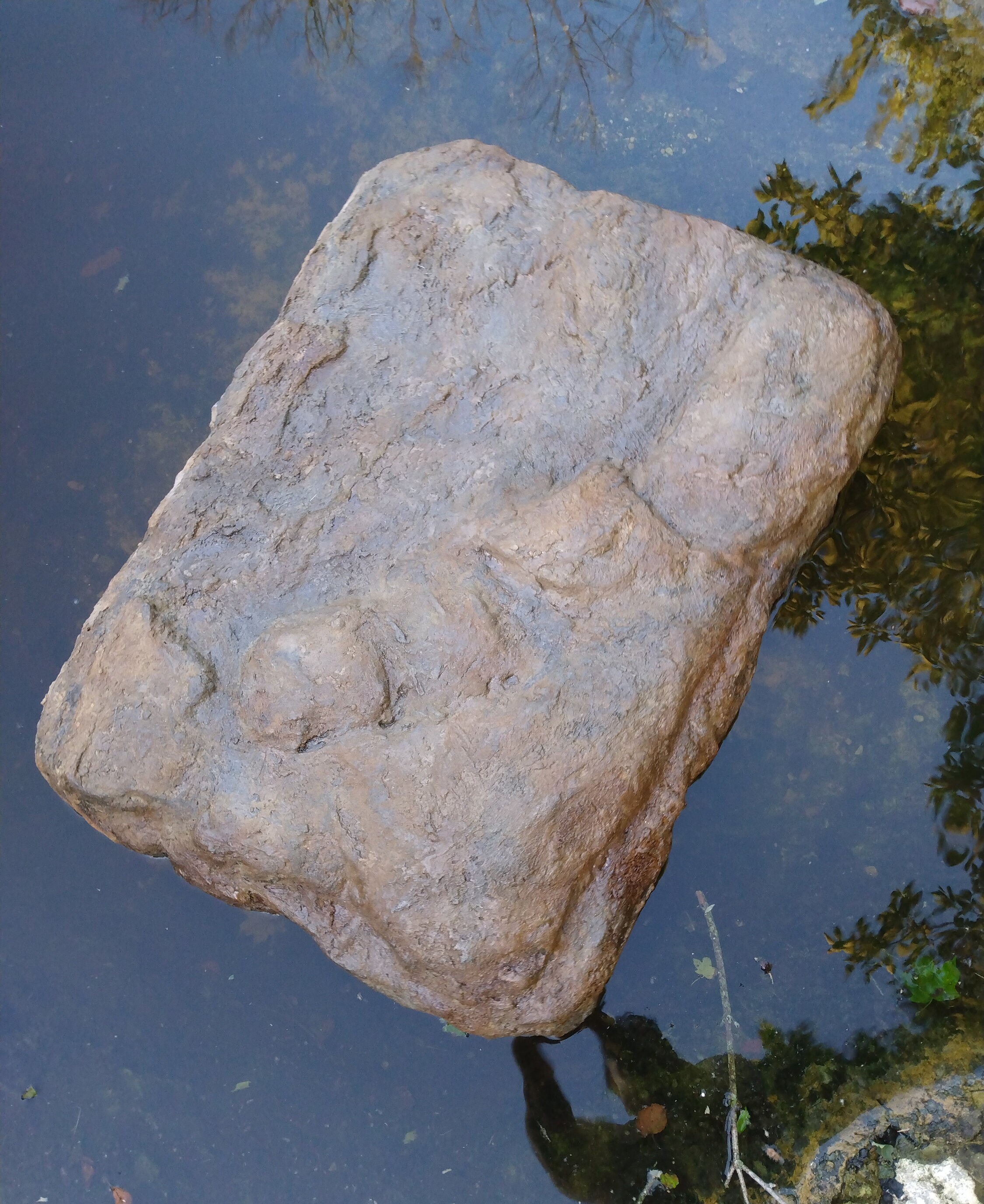 33"X22" Floating Pond Platform, Turtle Dock, Duck Pond Platform