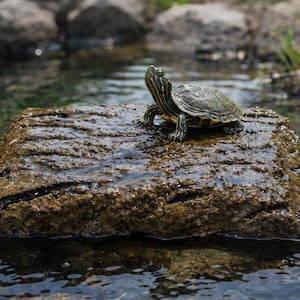 Turtle Basking Raft, Faux Bark Floating Dock, Pond Decor