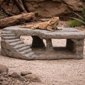 May include: A tan bearded dragon lizard rests on a gray stone reptile habitat. The habitat has a small staircase on one side and an open area underneath. The background includes sand, rocks, and plants.