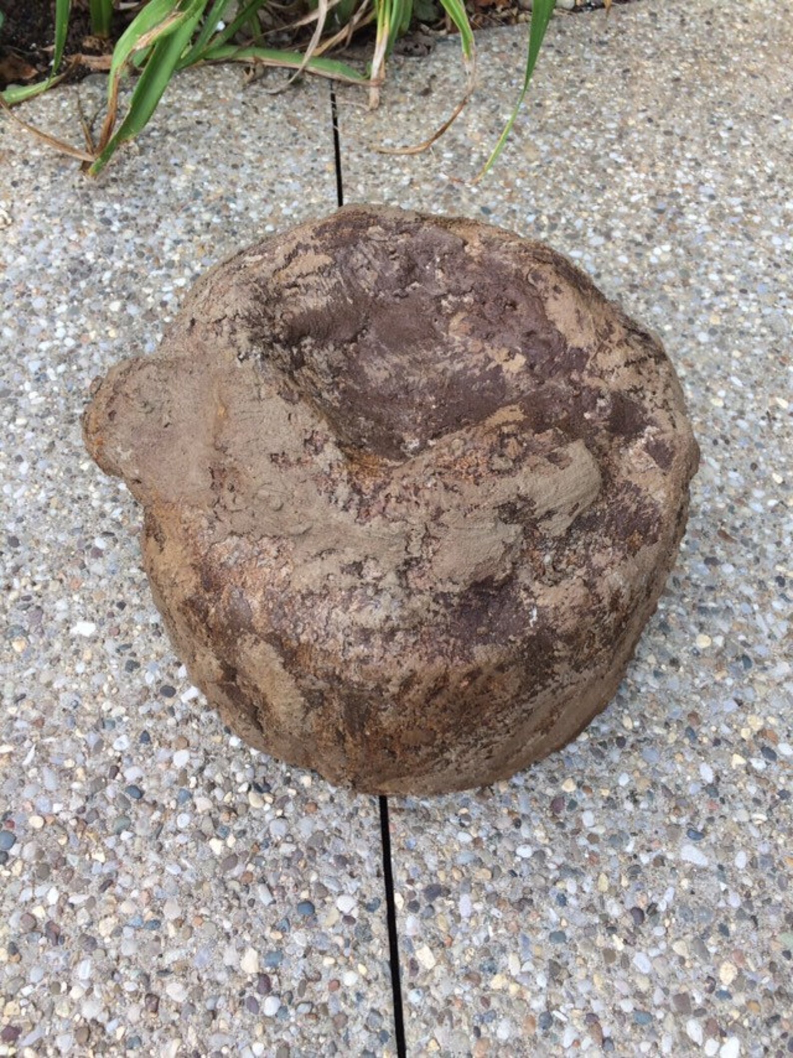 Custom Rock Reptile Hide Realistic Natural Habitat Home Made Etsy