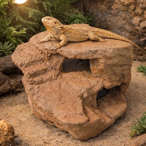 Extra Large Custom Bearded Dragon Basking Platform with Dual Caves – Handmade Faux Rock Reptile Hide – Naturalistic Terrarium Decor