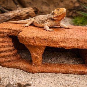 Custom Large Bearded Dragon Basking Platform & Hide – Faux Stone Reptile Cave Decor