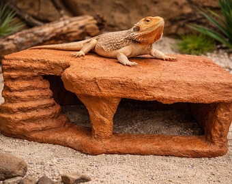 Custom Large Bearded Dragon Basking Platform & Hide – Faux Stone Reptile Cave Decor