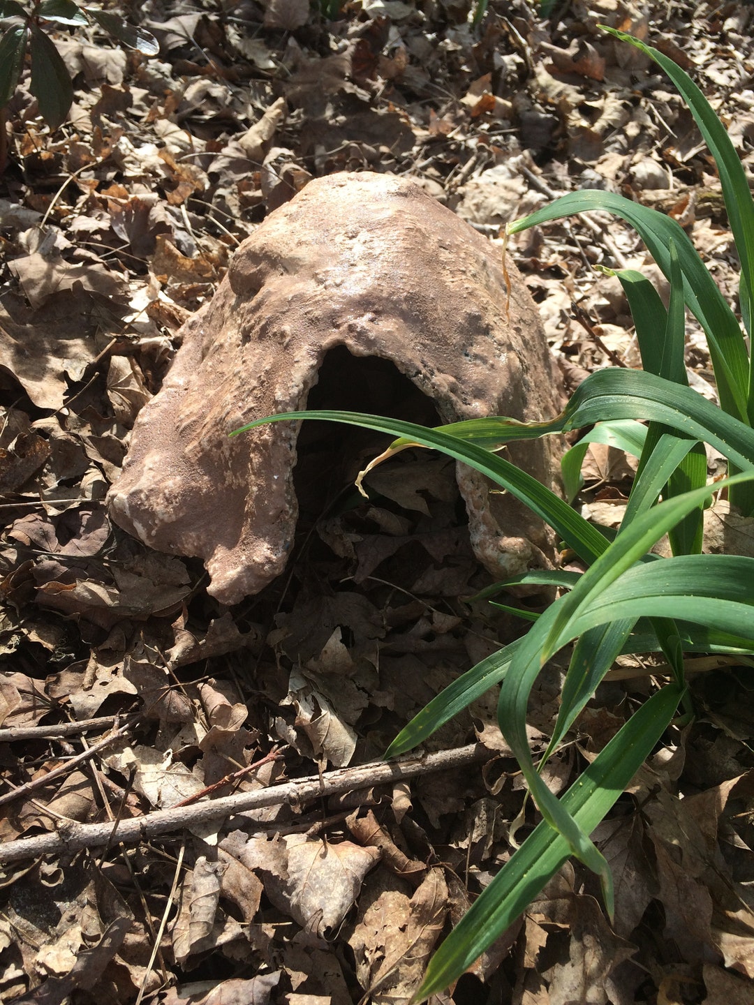 Custom Rock Reptile Hide Realistic Natural Habitat Home Made With Stone