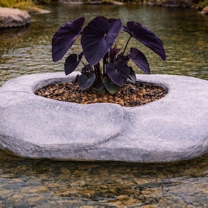 Floating Rock Island Pond Planter, Large Aquatic Plant Basket with Optional Turtle Ramp