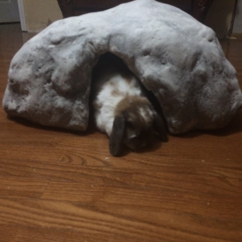 Extra Large Reptile Hide Custom Made to Order Realistic Etsy