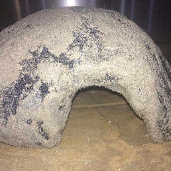 Bearded Dragon Hide Etsy