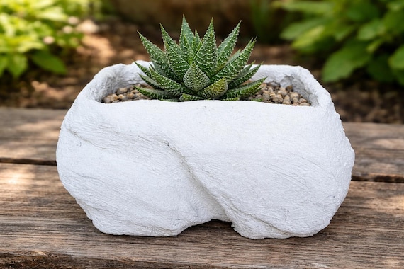 white pots for succulents 7in Tall Rouen White Ceramic Pot with Saucer, Set of 2  Jamali Garden