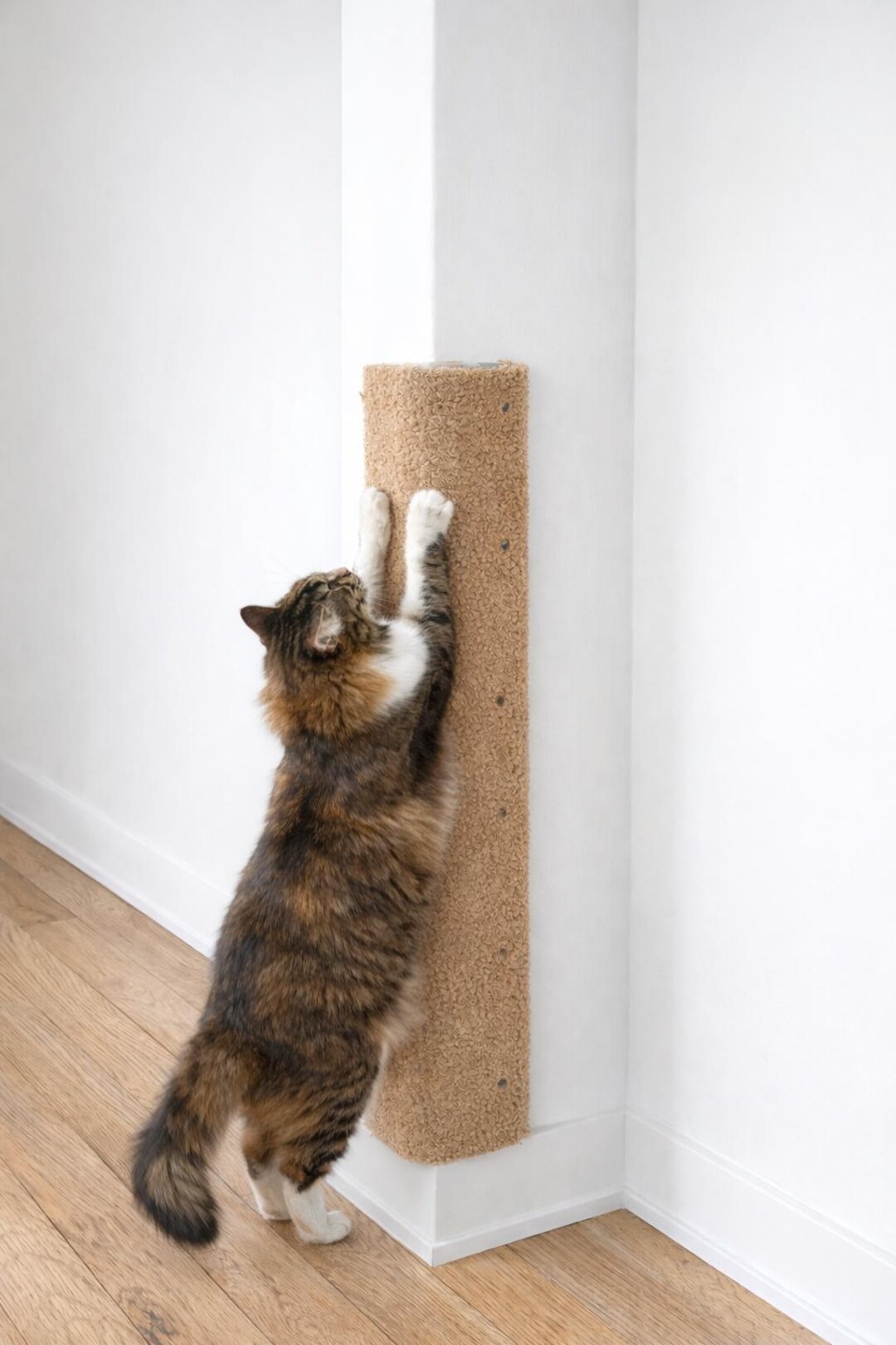 Wall-mounted Corner Cat Scratch Post - Etsy
