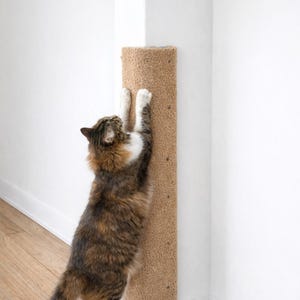 以下が含まれることがあります： 茶色と白の猫が、ベージュのコーナー用爪とぎを使用しています。猫は後ろ足で立ち、柱を引っ掻こうと伸びています。爪とぎは白い壁に取り付けられています。