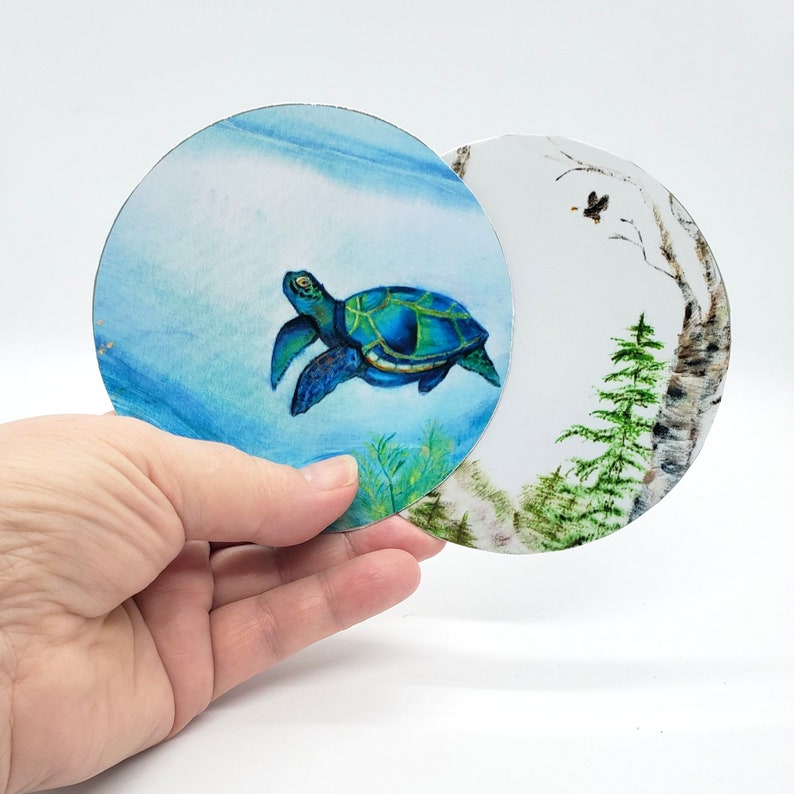 Sea Turtle or Eagle with Birch and pinetrees, Fine Art fridge magnets, choose from 2 designs, 4 inch round, photographic prints of originals image 2