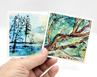 Fine Art fridge magnets, choose from 2 designs, 3 x 3",  photographic prints of watercolor fine art, Arbutus tree or Whispering Pines