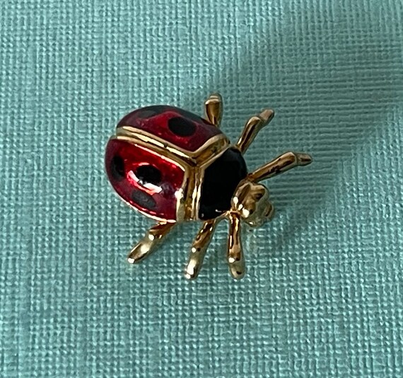 Ladybug brooch deals