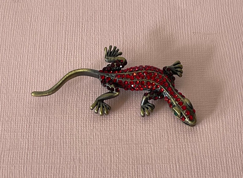 May include: A red jeweled lizard brooch with green eyes. The lizard is made of metal and has a long tail.
