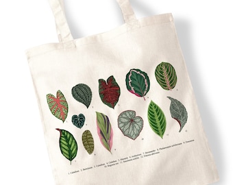 House Plant Leaves Tote Bags - Watercolour, Cuttings, Pressed Flowers, Water Colour, Grasses, Watercolor Illustration Totes